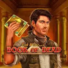 Slots logo of Book of Dead from Play&#039;n GO at Volt Casino